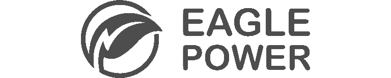 Eagle Power logo design by Koalart Creative – branding agency for small business