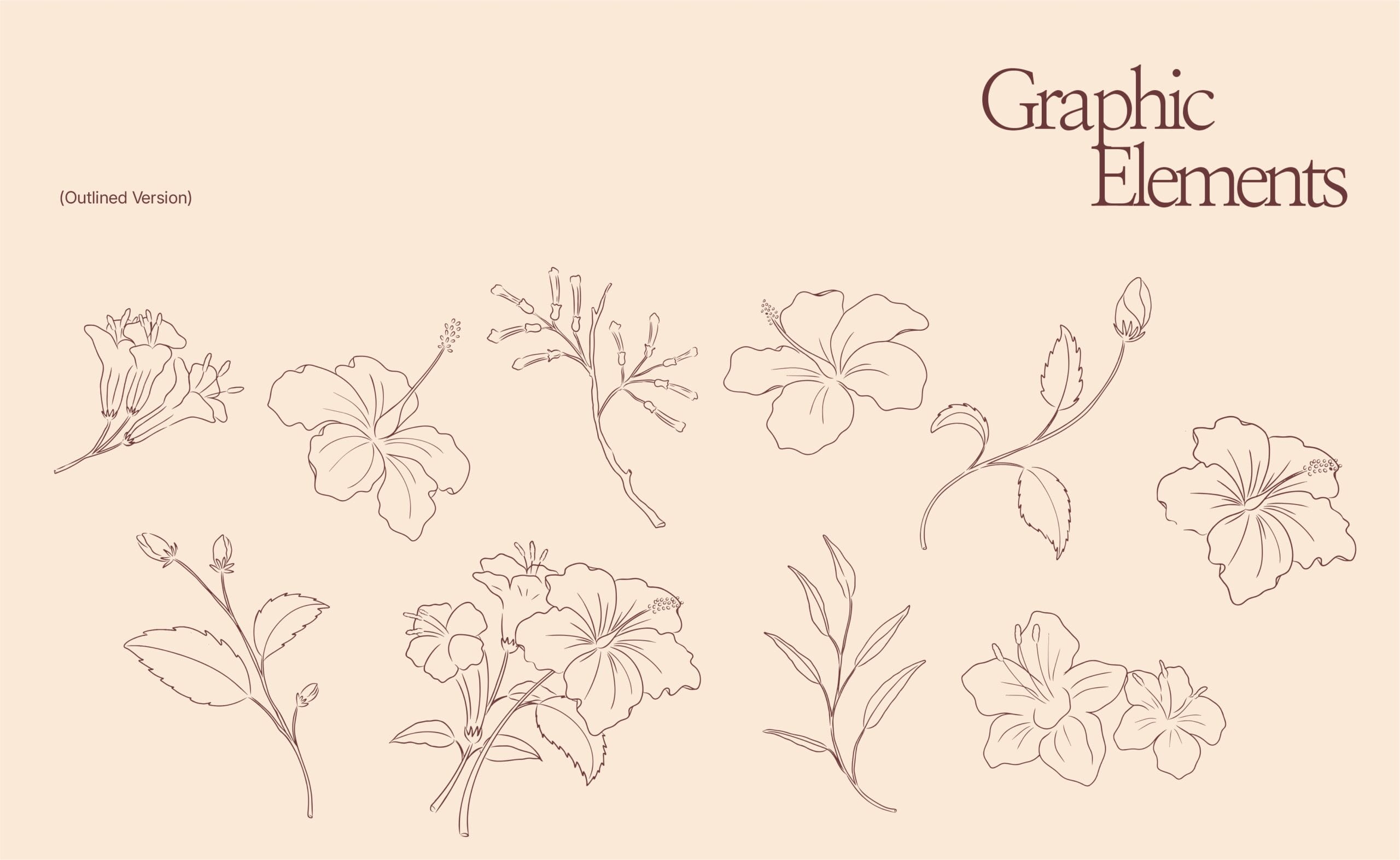 La MexiCoreana retail brand identity with floral logo and packaging design